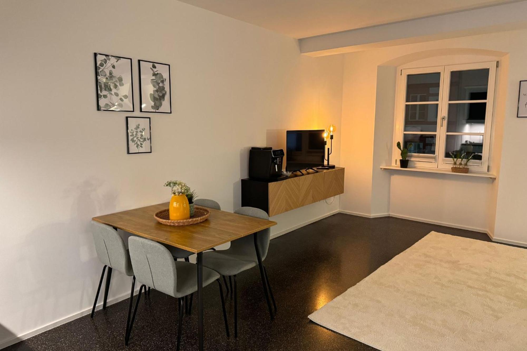 Isaak Apartment Stadtperle Waldshut-Tiengen Dış mekan fotoğraf