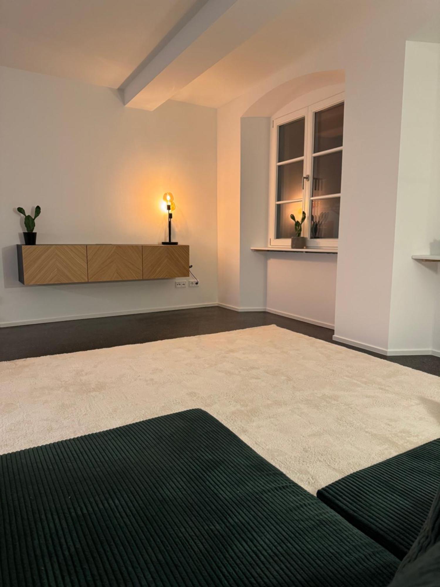 Isaak Apartment Stadtperle Waldshut-Tiengen Dış mekan fotoğraf