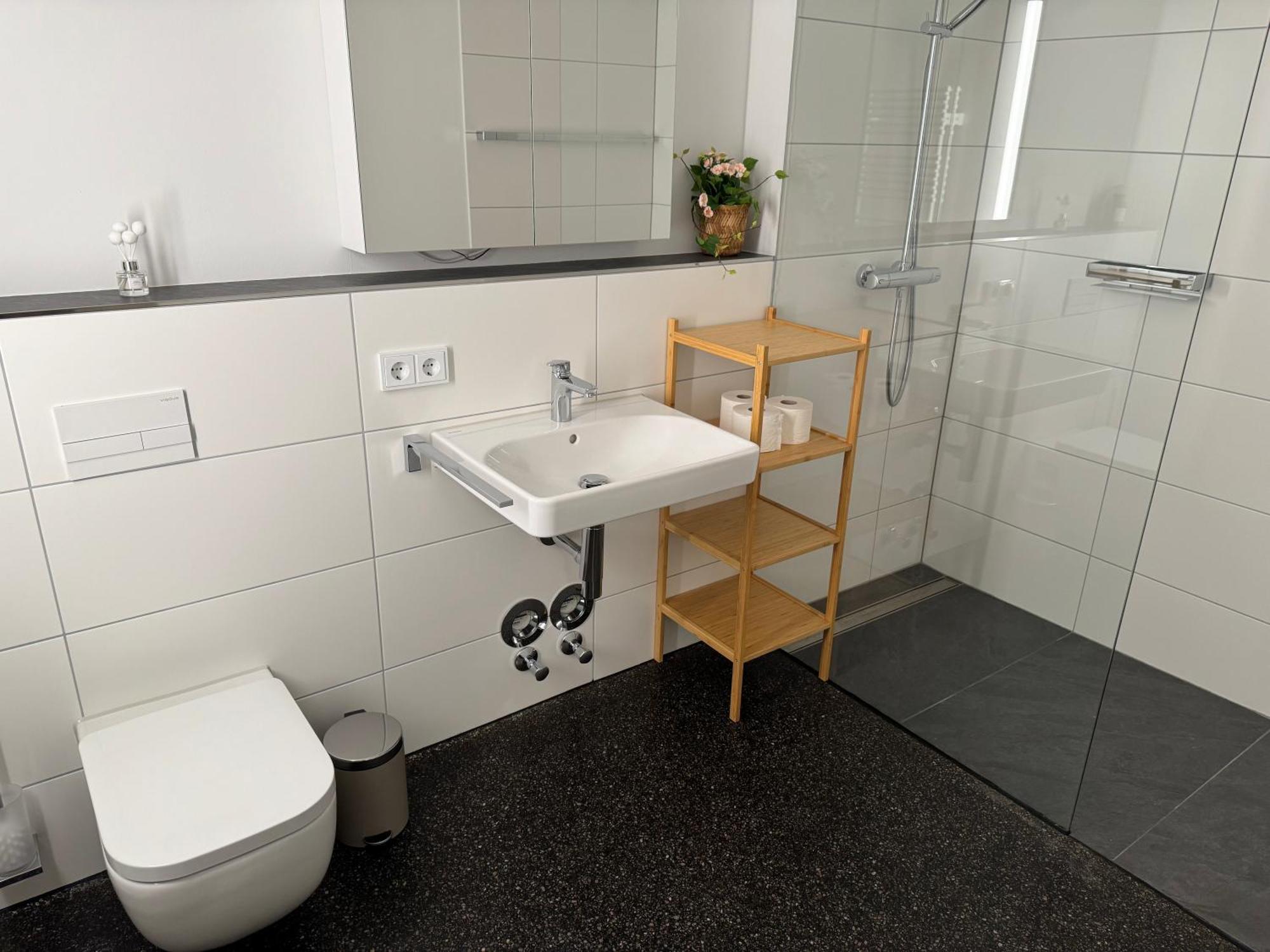 Isaak Apartment Stadtperle Waldshut-Tiengen Dış mekan fotoğraf